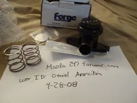 P4280408.webp