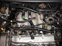 DSC00356.webp