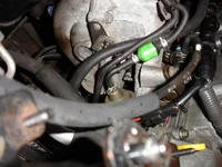DSC00358.webp