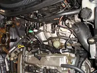DSC00359.webp