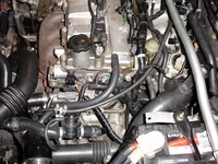 DSC00369.webp