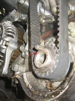 crankshaft sprocket.webp