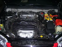 100_1106.webp