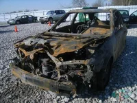 09971178_1X.webp