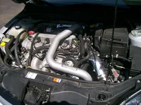 100_0229.webp