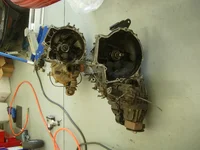 DSCN5206.webp
