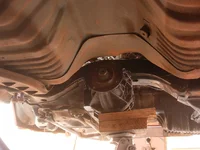 DSCN5243.webp