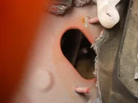 DSCN5397.webp