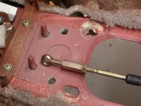 DSCN5401.webp
