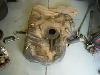 DSCN5423.webp