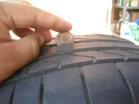 DSCN3613.webp
