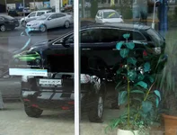 holgis mazda 1.webp