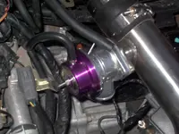 Greddy.webp