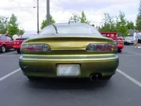 chameleon.webp
