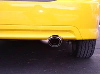 RBcatback.webp