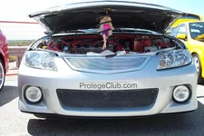 Barbiespring.webp