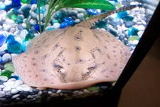 100_0041.webp