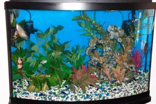 100_1401.webp