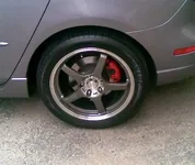 Rim.webp