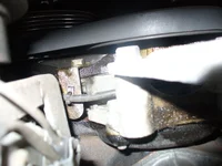 P1010741.webp