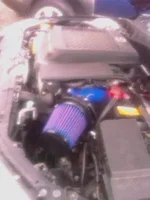 IMAG0041.webp