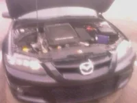 IMAG0043.webp