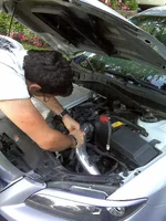 IMG00266.webp