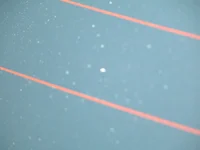 rear window bubbles.webp