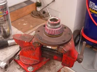 DSCN5531.webp