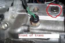 trans1we9.webp