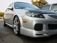 todays pic 1.webp