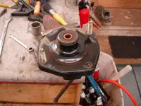 DSCN5611.webp