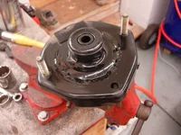 DSCN5620.webp