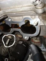 Protege_head_remove018.jpg Intake ports2 picture by jtmineha.webp