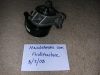 oil2.webp