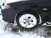 SnowCrop.webp