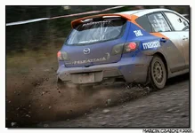 214863981-L.webp
