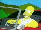 simpsons.webp