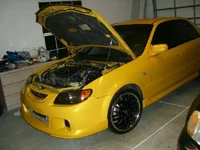 domain new pics2 022.webp