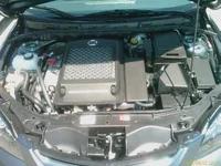 IMAG0070.webp
