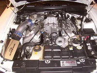 miscellaneous pics 299.webp