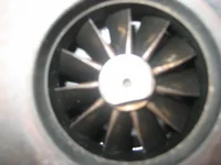 Picture 007.webp