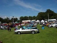 american muscle.webp