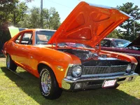 american muscle3.webp