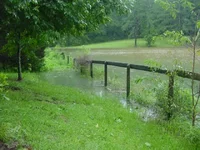 The Pond 01.webp