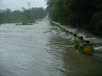 Weems Road02.webp