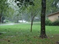 DSC00994.webp