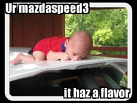 cwpms3_lolcat2.webp