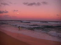 Moonrise Surfer.webp