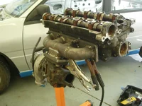 DSCN5846.webp